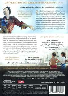 Capernaum - Stadt der Hoffnung, DVD
