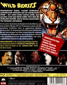 Wild Beasts (1984) (Blu-ray), Blu-ray Disc