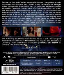 What Lies Below (Blu-ray), Blu-ray Disc