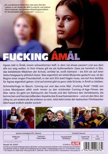 Fucking Åmål, DVD