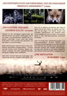 „EIN KONTEMPLATIVES NATURERLEBNIS, DAS DIE ZUSCHAUER INNERLICH VERWANDELT“ CINEMA. Zwei Eulen, ein Mann im Wald, Fuchsjunges.