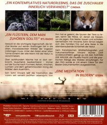 Texte: "EIN KONTEMPLATIVES NATURERLEBNIS", "EIN FLÜSTERN, DEM MAN ZUHÖREN SOLLTE", "EINE MEDITATION IN BILDERN". <br>
Bilder: Eule, Mensch im Wald, Fuchs.
