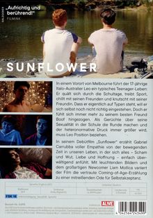 Sunflower (OmU), DVD