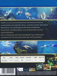Aquarium for Adults (Blu-ray), Blu-ray Disc