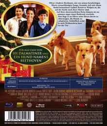 Golden Winter (Blu-ray), Blu-ray Disc