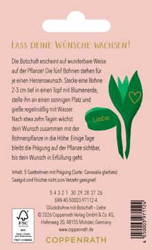 "Lass deine Wünsche wachsen!" Anleitung zur Pflanzung, inkl. Bohnen mit Prägung „Liebe“. Illustration von grünen Blättern.