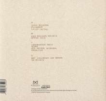 Hendrik Weber: 429 Hz Formen von Stille (Limited Numbered Edition), 2 LPs