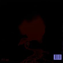 The Afghan Whigs: How Do You Burn? (180g) (Clear Vinyl), LP