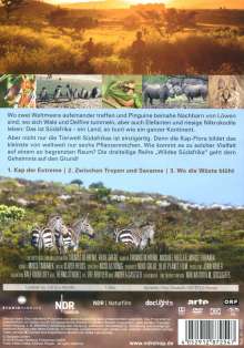Wildes Südafrika - Der 8. Kontinent, DVD