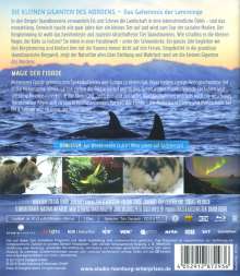 Norwegens Naturwunder: Die kleinen Giganten des Nordens / Magie der Fjorde (Blu-ray), Blu-ray Disc