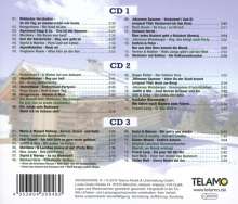 Stadl Winter: Die Party, 3 CDs