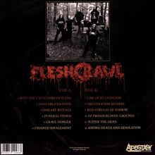 Fleshcrawl: Into The Catacombs Of Flesh, LP