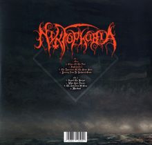 Nyktophobia: What Lasts Forever, LP