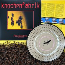 "knochenfabrik" und "AMEISENSTAAT 2023 remastert" in groben roten Buchstaben, Schallplatte mit Ameisenmuster.