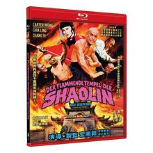 "Der flammende Tempel der Shaolin." Ein Artwork mit kämpfenden Figuren vor einem brennenden Tempel im Hintergrund.