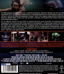 Texte beschreiben einen Thriller über Haie und Taucher. Spannung und Bedrohung unter Wasser dominieren die Handlung.