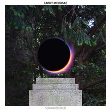 CAPUT MEDUSAE und SCHWARZSCHILD. Eine schwarze Kugel mit buntem Rand schwebt vor einem Baum, auf einem Steinpodest.