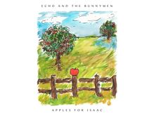 "Echo and the Bunnymen" oben, "Apples for Isaac" unten. Illustration: Apfel auf Zaun vor Bäumen im Feld.