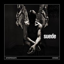 „suede“, „ANTIDEPRESSANTS“, „EXPANDED“. Ein Mann mit Engelsflügeln sitzt nachdenklich im Schatten.