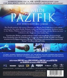 Der wilde Pazifik - Die Schönheit des Lebens (Ultra HD Blu-ray), Ultra HD Blu-ray