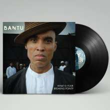 Bantu: What Is Your Breaking Point?, LP