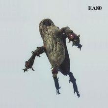 EA80: Single, LP