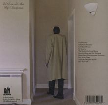 El Perro Del Mar: Big Anonymous, CD