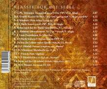 Santec Music Orchestra: Klassik für die Seele (Instrumentalmusik), CD