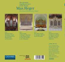 Max Reger (1873-1916): Das gesamte Orgelwerk Vol.1, 4 CDs