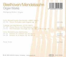 Rückansicht vergrößern