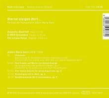 Albert Maria Herz (1878-1950): Kammermusik &amp; Lieder "Sterne steigen dort...", CD