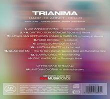 "TRIANIMA: Harp, Clarinet, Cello. Künstler und Werke aufgelistet. Gefördert durch ÖST.MUSIKFONDS. Bunte, verschwommene Farben."