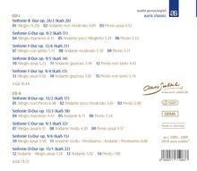 Carl Stamitz (1745-1801): 10 Symphonien, 2 CDs