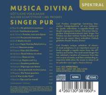 Singer Pur - Musica Divina, CD