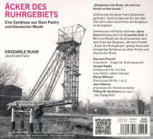 Ensemble Ruhr - Äcker des Ruhrgebiets, CD