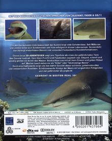 Abenteuer Karibik - Tauchen mit den Haien (3D Blu-ray), Blu-ray Disc