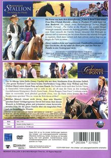 Kids Collection: Das Geheimnis des Ponys / Midnight Stallion, DVD