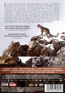 Der Schneeleopard, DVD