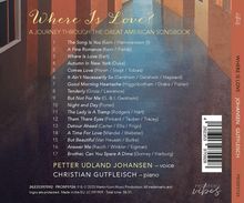 "Where Is Love? A Journey Through the Great American Songbook." Liedtitel und Künstlernamen auf abstraktem Design.