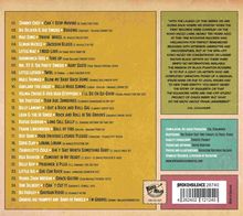 Liste von 26 Songs mit Künstlern und Serienbeschreibungen. Enthält Barcodes und "Brokensilence 28740". "Koko Mojo" Logo unten links.