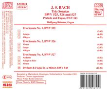 Rückansicht vergrößern