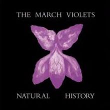 Text: "THE MARCH VIOLETS", "NATURAL HISTORY". Illustration: Eine stilisierte, violette Blume auf schwarzem Hintergrund.