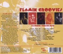 The Flamin' Groovies: Flamingo/Teenage Head (Remastered &amp; Expanded), CD