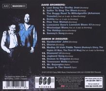 David Bromberg: David Bromberg / Demon In Disguise, CD