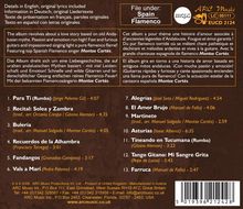 Danza Fuego: Gypsy Flamenco - Leyenda Andaluza, CD