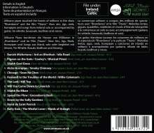 Jean-Yves Le Pape: Irish Uilleann Pipes, CD