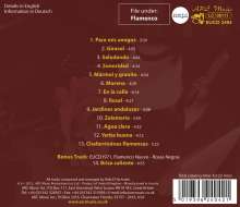 Rafa El Tachuela: Flamenco: Rumba Guitarras, CD