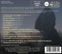Aryeh Frankfurter: Celtic Harp: The Morning Dew, CD