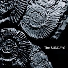 Text: "The SUNDAYS" in Weiß. Fossilienartige, spiralförmige Muster auf dunklem Hintergrund.