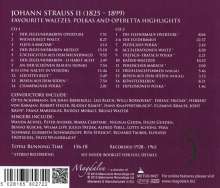 Johann Strauss II (1825-1899): Great Nights in Vienna - Walzer, Polkas &amp; Operetten-Highlights, 2 CDs